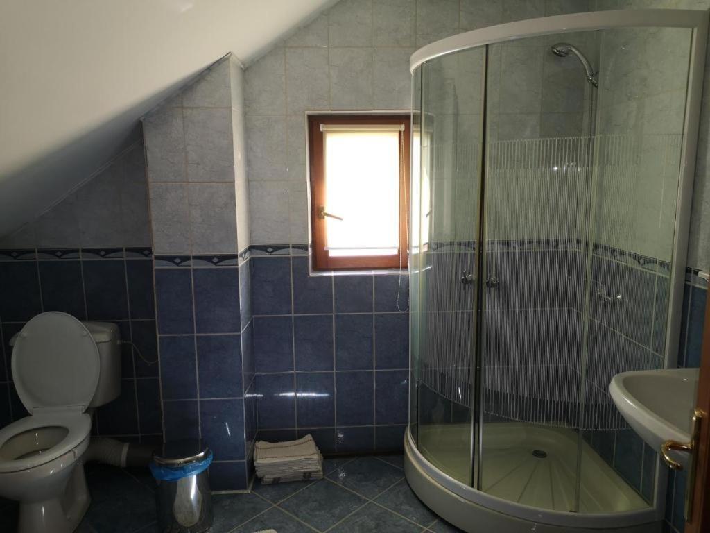 Pensjonat Casa Gotika Vama  Zewnętrze zdjęcie