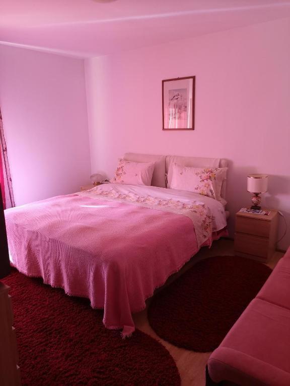 Pensjonat Casa Gotika Vama  Zewnętrze zdjęcie
