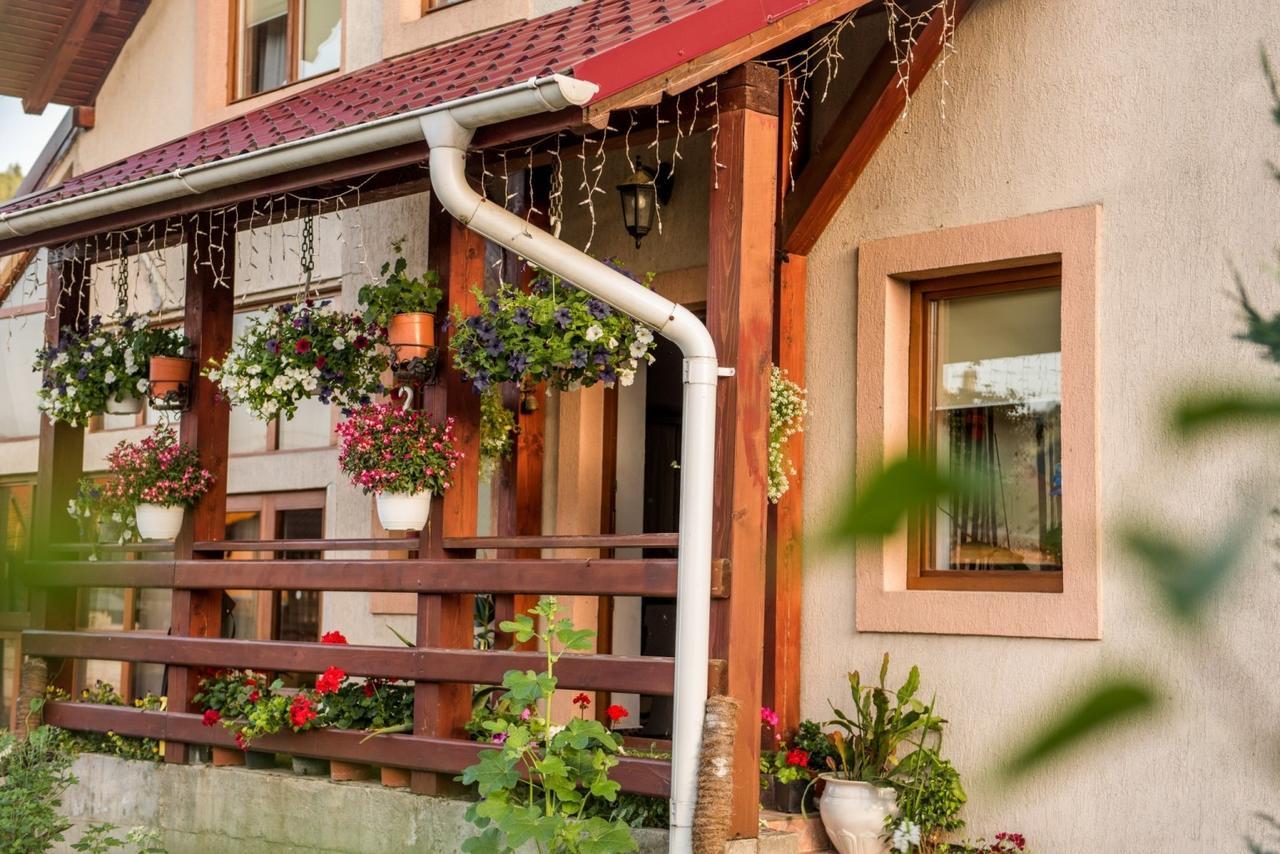 Pensjonat Casa Gotika Vama  Zewnętrze zdjęcie