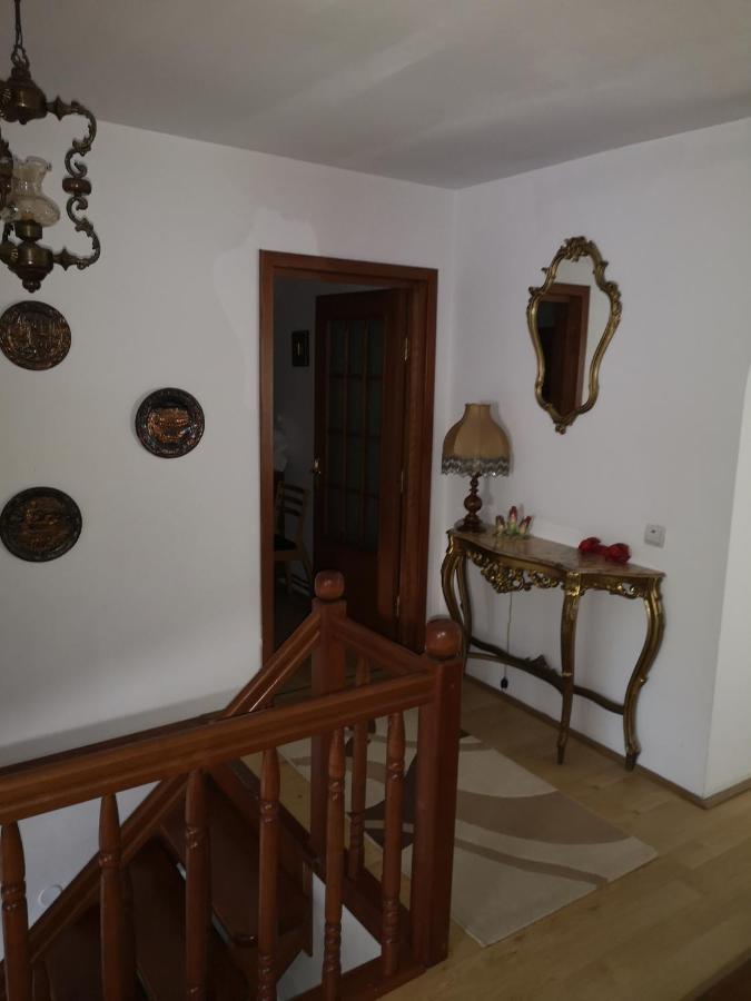 Pensjonat Casa Gotika Vama  Zewnętrze zdjęcie