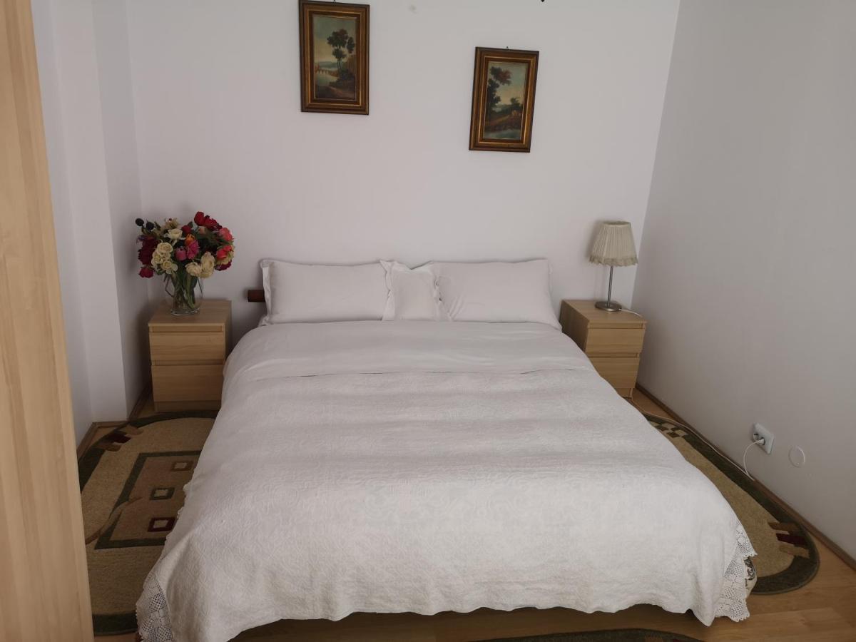 Pensjonat Casa Gotika Vama  Zewnętrze zdjęcie