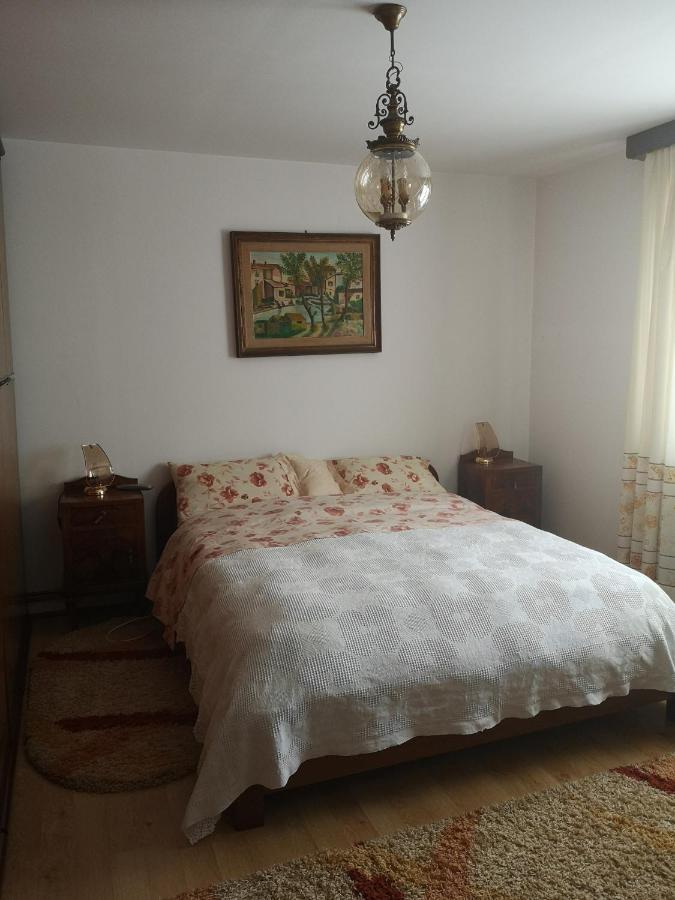 Pensjonat Casa Gotika Vama  Zewnętrze zdjęcie