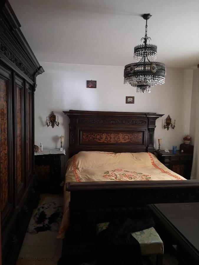 Pensjonat Casa Gotika Vama  Zewnętrze zdjęcie