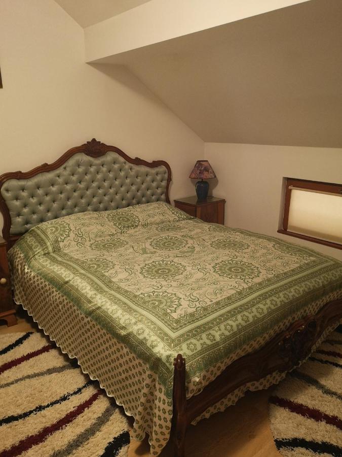 Pensjonat Casa Gotika Vama  Zewnętrze zdjęcie