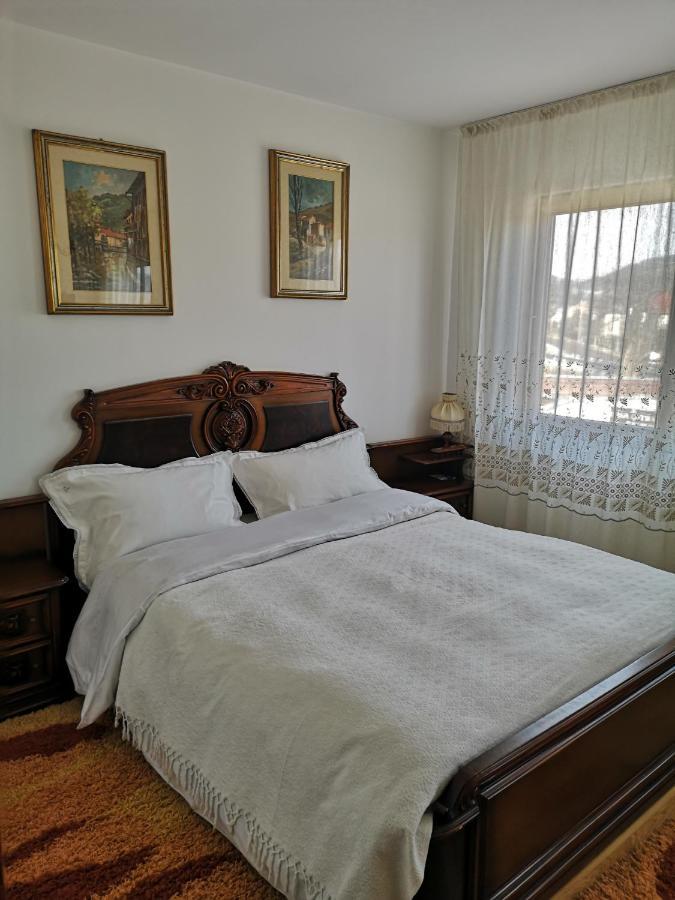 Pensjonat Casa Gotika Vama  Zewnętrze zdjęcie