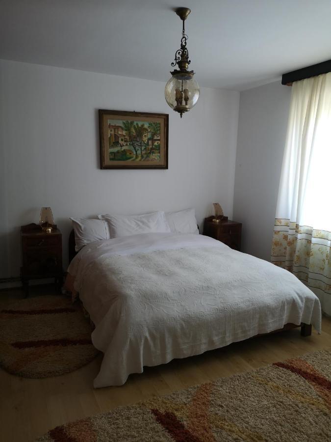 Pensjonat Casa Gotika Vama  Zewnętrze zdjęcie